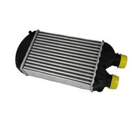 Intercooler THERMOTEC DAF002TT