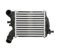 THERMOTEC DAF017TT Intercooler per ABARTH