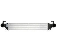 THERMOTEC DAF019TT Intercooler per FIAT,JEEP