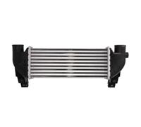 THERMOTEC DAG031TT Intercooler/LLK Turbo Cooler compatibile con FORD TRANSIT CONNECT P65, P70, P80 1201168 2T1Q9L440AB 2T1Q9L440AC