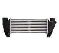 Intercooler THERMOTEC DAG031TT