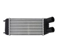 Intercooler THERMOTEC DAP006TT