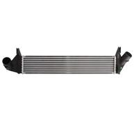 Intercooler THERMOTEC DAR005TT