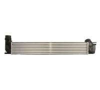Intercooler THERMOTEC DAR021TT