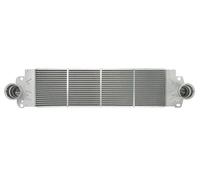 Intercooler THERMOTEC DAW007TT