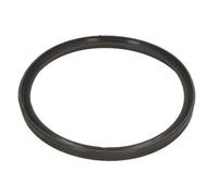 Anello tenuta turbina DCB086TT THERMOTEC