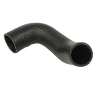 THERMOTEC DCG262TT Flessibile aria alimentazione per FORD Tourneo Connect Mk1