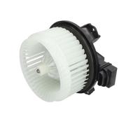 THERMOTEC Ventilatore abitacolo DD8002TT Sedici (FY_)