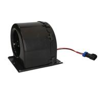 THERMOTEC DDJD001TT Elettromotore, Ventilatore abitacolo