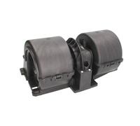Ventilatore interno THERMOTEC DDSC003TT