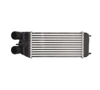 THERMOTEC Intercooler DAP003TT per DS DS 3 per CITROËN C3 II (SC_)
