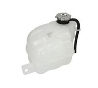 THERMOTEC Motore Elettrico Ventilatore Interno Adatto Per Dodge Journey