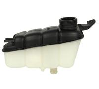 THERMOTEC Motore Elettrico Ventilatore Interno Per Mercedes-Benz S-Klasse W220