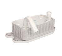Thermotec Scambiatore Di Calore D4V002TT Adatto Per Volvo S70 LS V70 I LV 184