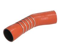 Tubo flessibile dell'aria di carica THERMOTEC DC5012TT