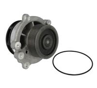 Pompa del refrigerante THERMOTEC WP-DF113