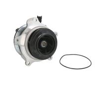 THERMOTEC WP-DF118 Pompa dell’acqua, raffreddamento motore per DAF