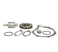 Kit di riparazione, pompa dell'acqua THERMOTEC WP-ME117