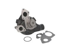THERMOTEC WP-PK101 Pompa acqua