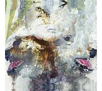 These Arms Are Snake - Tail Swallover And Dove