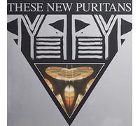 These New Puritans - Beat Pyramid