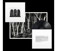 These New Puritans Crooked Wing (Vinyl LP) 12" Album