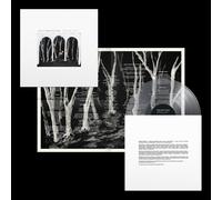 These New Puritans Crooked Wing (Vinyl LP) 12" Album (Clear vinyl)