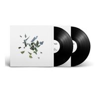 These New Puritans Field of Reeds (Vinyl LP) 10th Anniversary 12" Album