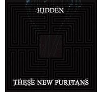 These New Puritans - Hidden