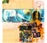 They Are Gutting a Body of Water/A Country Weste An Insult to the Spo (Vinyl LP)