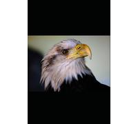 They called me Indian