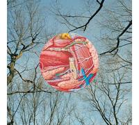 They Might Be Giants - Glean