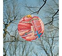 They Might Be Giants - Glean