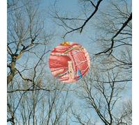 They Might Be Giants – Glean – Vinile LP