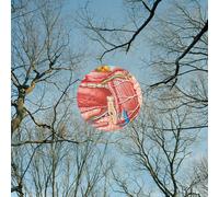 They Might Be Giants Glean (Vinyl LP)