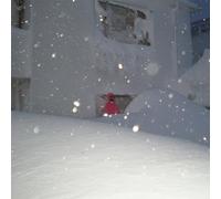 they only.. -coloured-