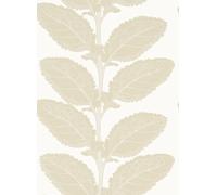Thibaut Carta da parati Lacinato - Birch