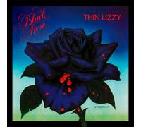 black rose - a rock legend
