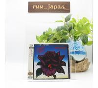Thin Lizzy CD (SHM-CD) Black Rose (A Rock Legend) NUOVO