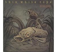 Thin White Rope - Bottom feeders (ep) [VINYL]
