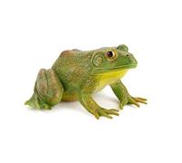 THINCAN Interesse per bambini realistico per Frog Kids Trick Supplies per feste per bambini, alleviare lo stress per bambini, regalo di compleanno