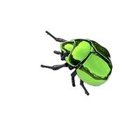 THINCAN Windup Giocattoli Realistico Granchio Azione Istruzione Imparare Scarabocabocabella Giocattoli Per Bambini Adulti Scrivania Educativa Scaraba Per Bambini