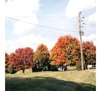 Things Are Gonna Be Alright (Extended Edition)