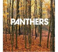 Panthers - Things Are Strange