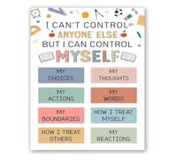 Things I Can Control Myself Metal Tin Sign Growth Mindset Gift 12x8 Inch