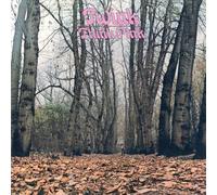 Twink Think Pink (CD) Album