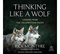 Thinking Like a Wolf: Lessons from the Yellowstone Packs