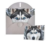 Thinking of You - Biglietti di ringraziamento con busta, 15 x 10 cm, con motivo husky dagli occhi azzurri, biglietti di auguri vuoti per tutte le occasioni