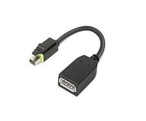 ThinkStation Mini DP to DP Adapter
