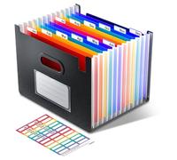 ThinkTex Cartella Portadocumenti Espandibile, A4 Porta Documenti Fisarmonica, 12 Tasche Raccoglitore Documenti, Senza Coperchio, Organizer Portatile Per Ricevute Mensili, Formato Lettera/A4